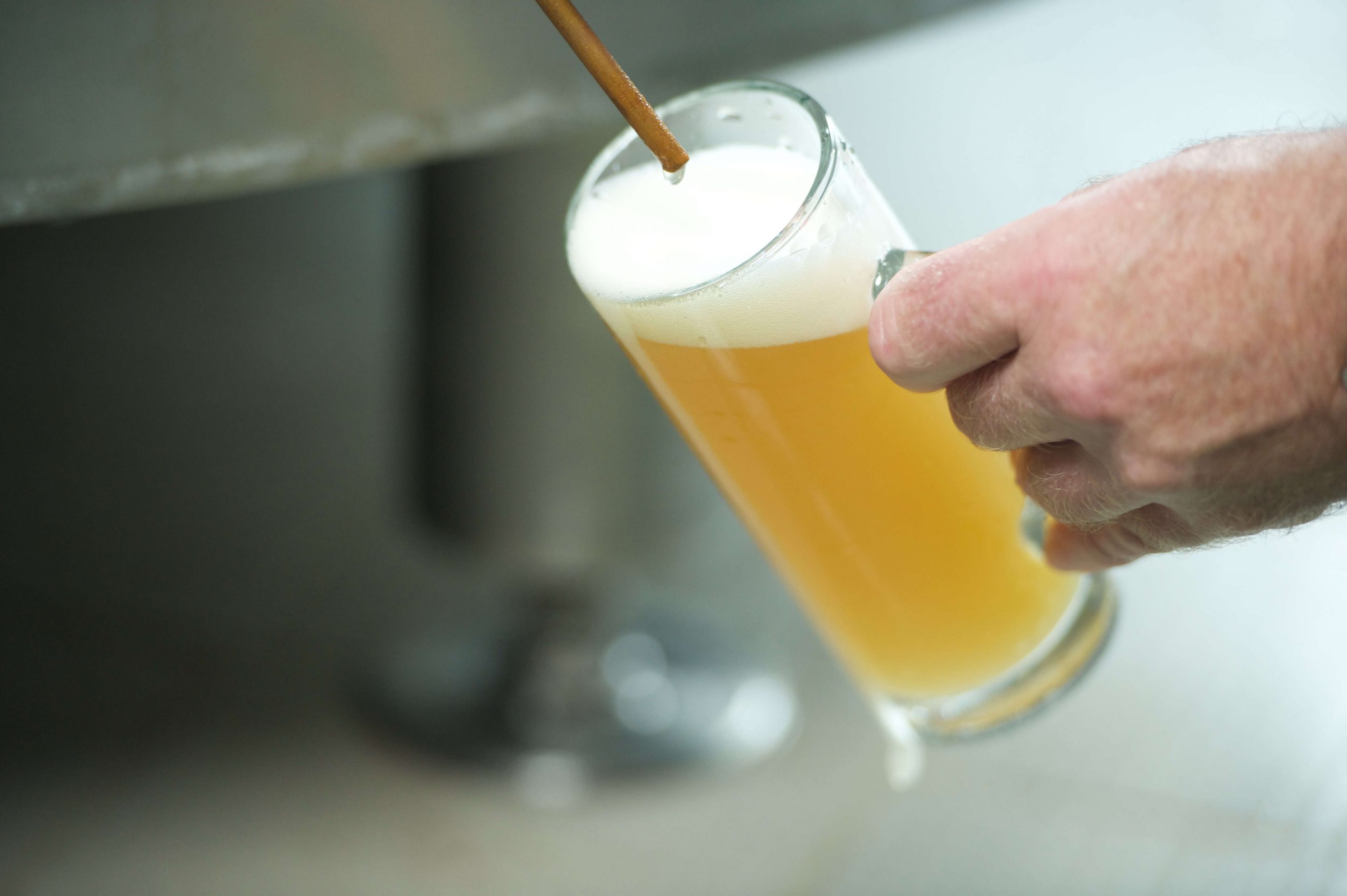 Bier